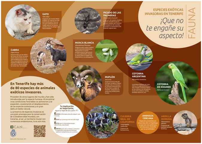 Cartel Fauna Invasora Tenerife – Ayuntamiento de Tenerife