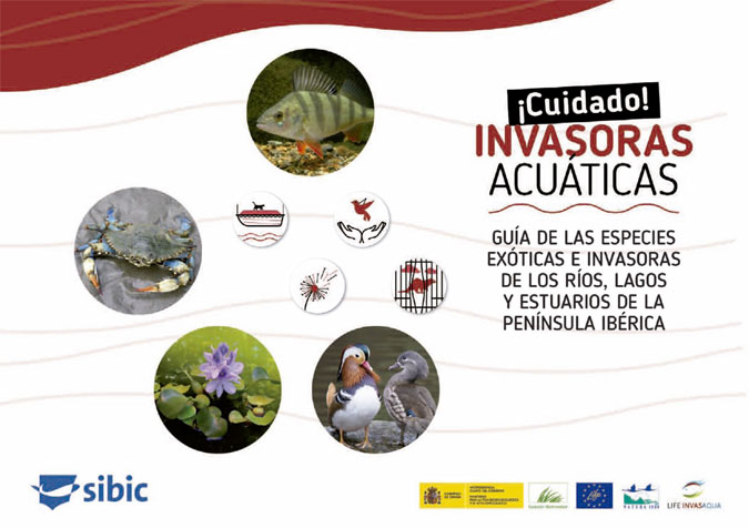 Guía “¡Cuidado! Invasoras Acuáticas” de las especies exóticas invasoras de los ríos, lagos y estuarios de la Península Ibérica
