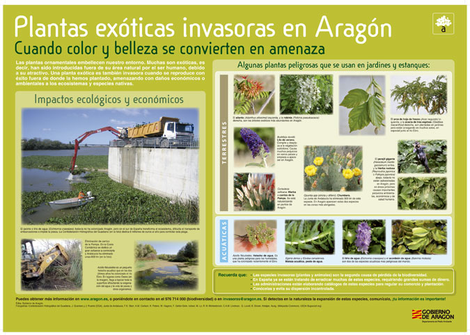 Plantas Exóticas Invasoras. Cartel – Gobierno de Aragón