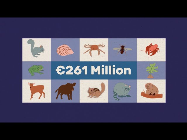 Vídeo The threat of Invasive Species to Ireland – National Biodiversity Data Centre –Ireland