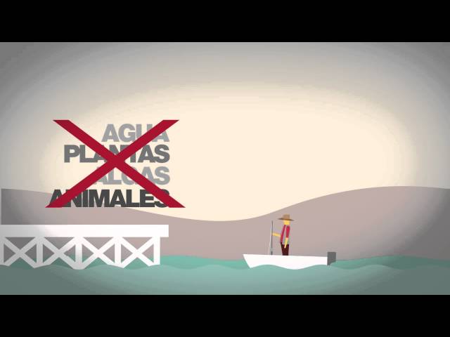 Vídeo Especies exóticas invasoras. Pesca – Parques Nacionales Argentina