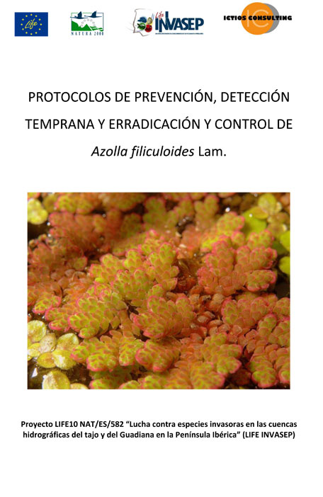 PROTOCOLOS DE PREVENCIÓN, DETECCIÓN TEMPRANA Y ERRADICACIÓN Y CONTROL DE Azolla filiculoides Lam.