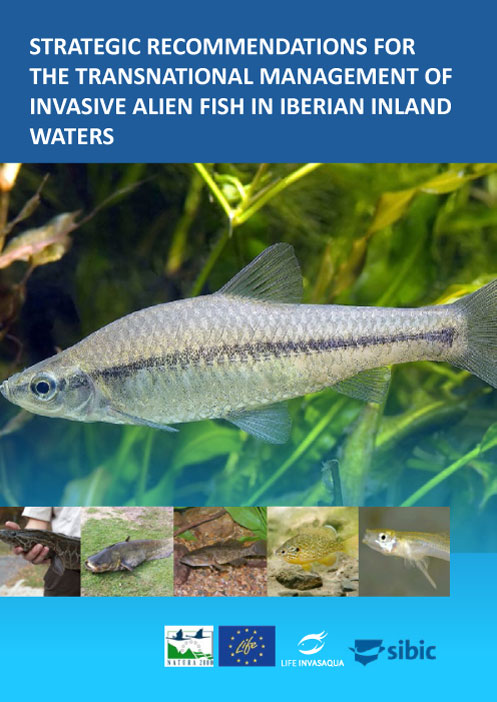 STRATEGIC RECOMMENDATIONS FOR THE TRANSNATIONAL MANAGEMENT OF INVASIVE ALIEN FISH IN IBERIAN INLAND WATERS