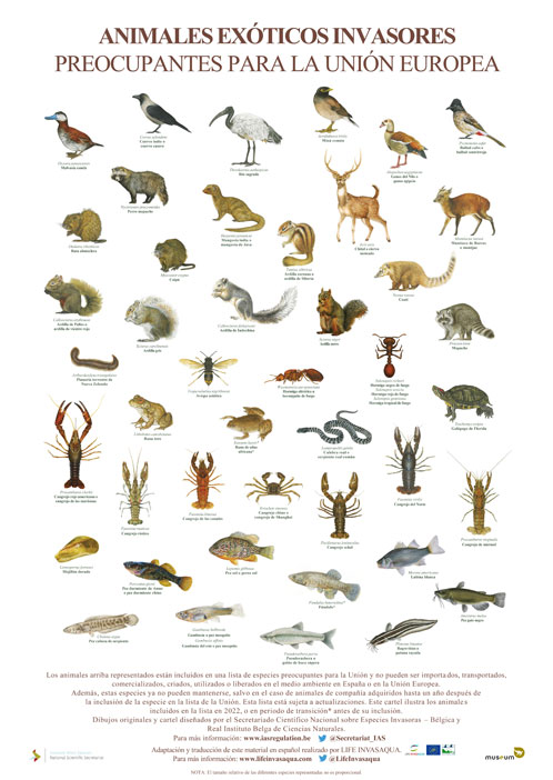 Animales exóticos invasores (poster)