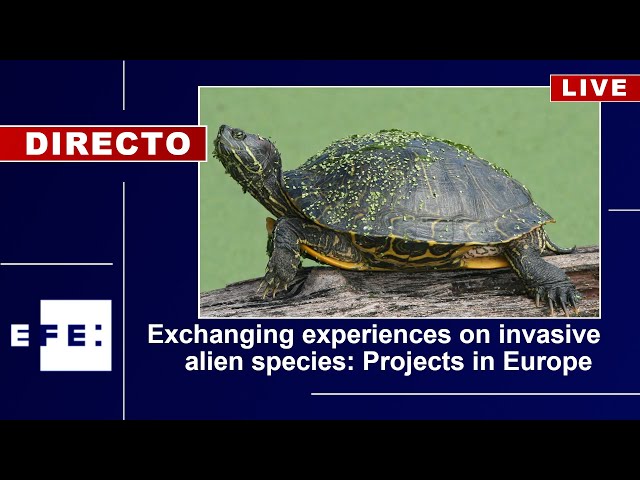 Event: Exchanging experiences on Invasive Alien Species in Europe (LIFE projects networking, Malaga 2023).